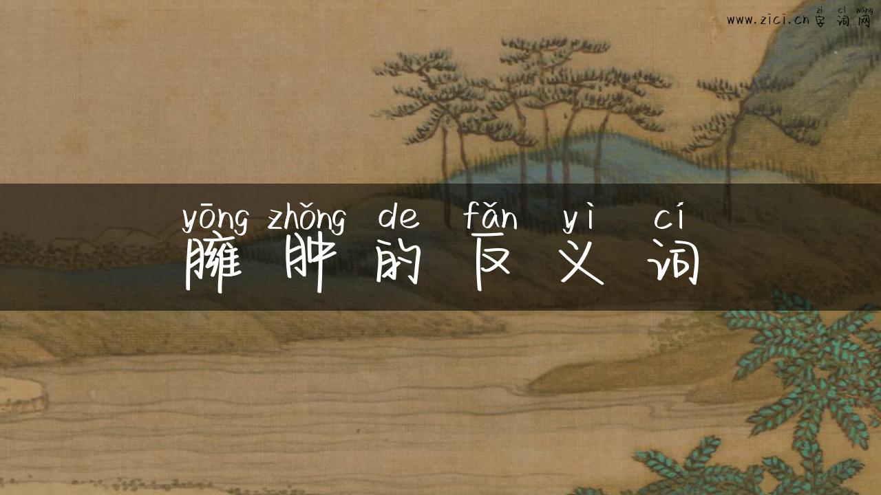 臃肿的反义词