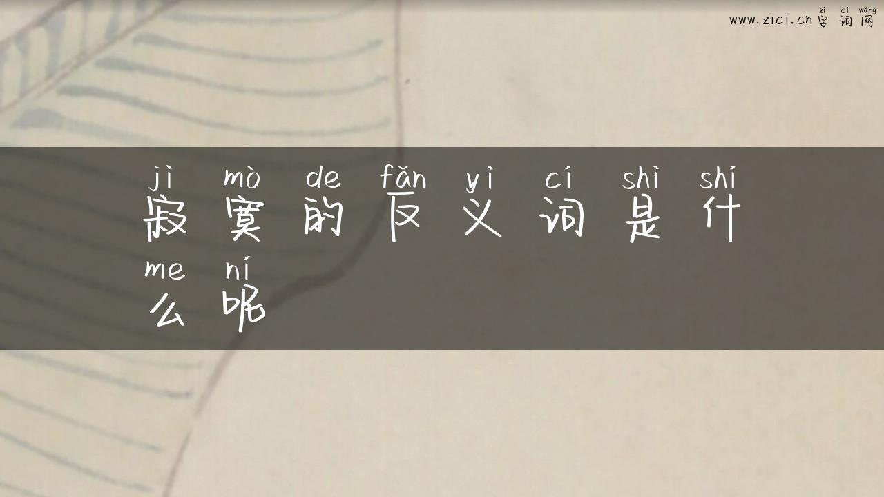 寂寞的反义词是什么呢