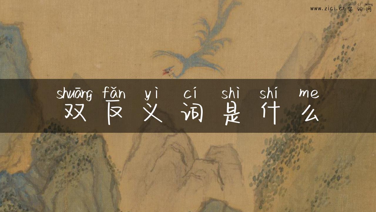 双反义词是什么