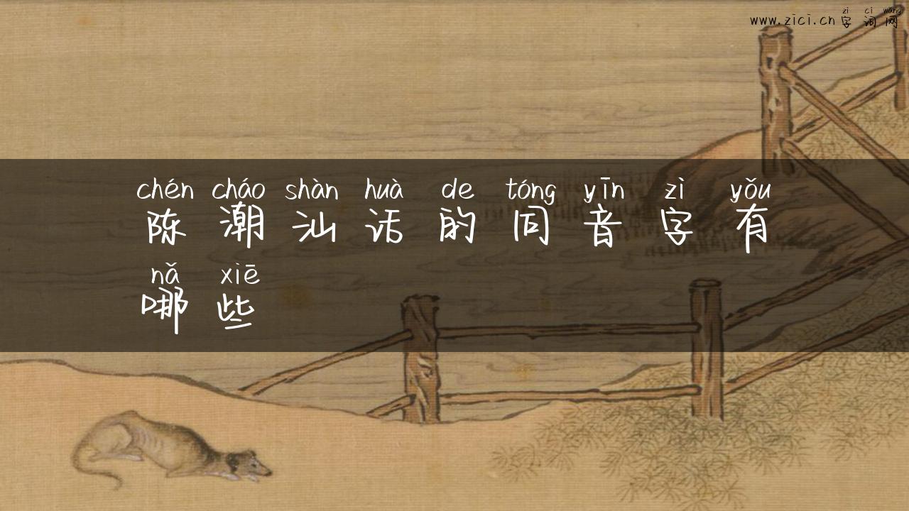 陈潮汕话的同音字有哪些