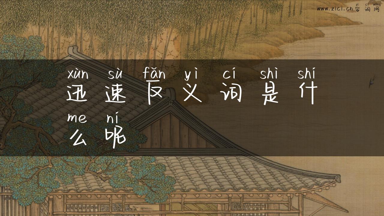 迅速反义词是什么呢