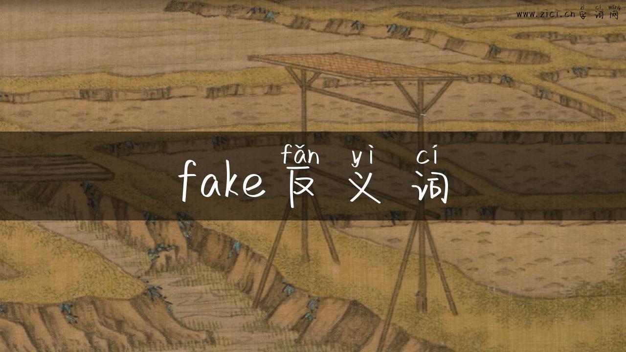 fake反义词