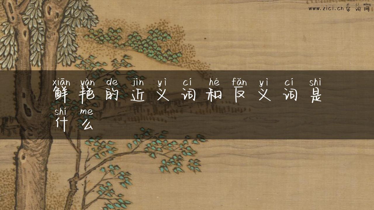 鲜艳的近义词和反义词是什么