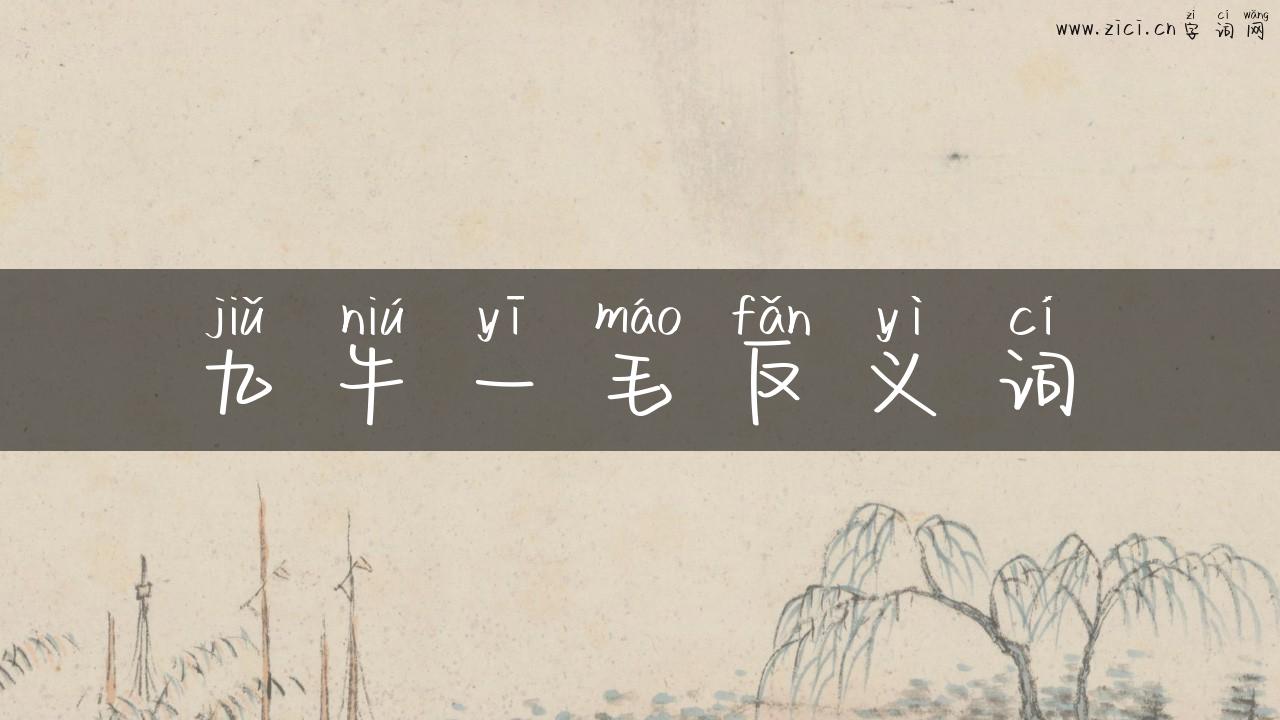 九牛一毛反义词
