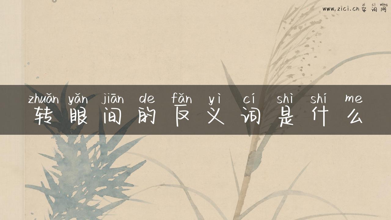 转眼间的反义词是什么
