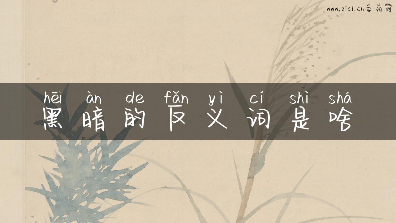 黑暗的反义词是啥