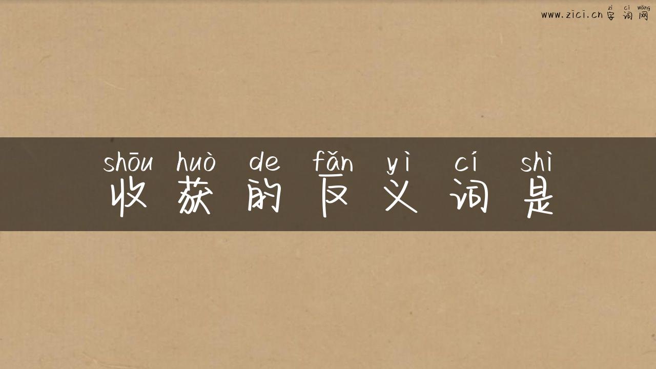 收获的反义词是