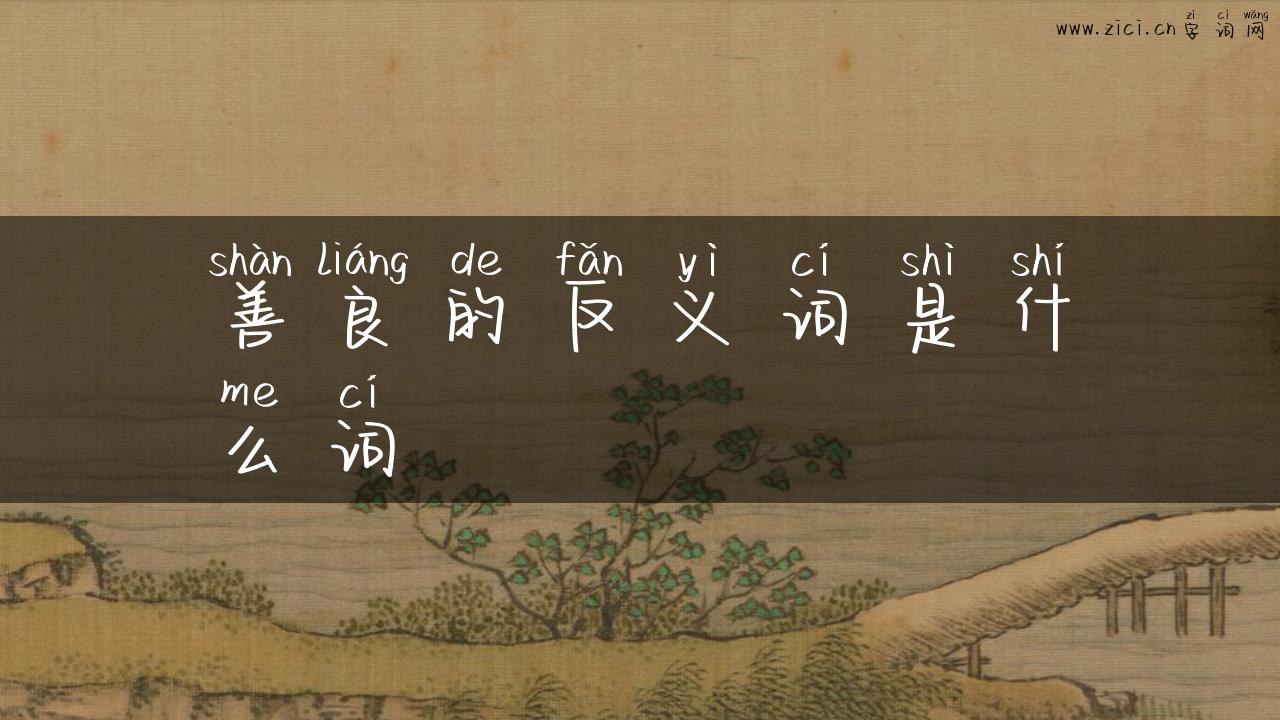 善良的反义词是什么词