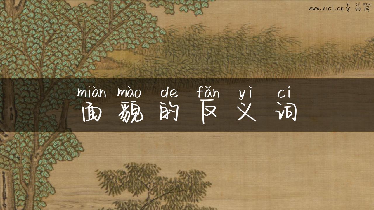 面貌的反义词