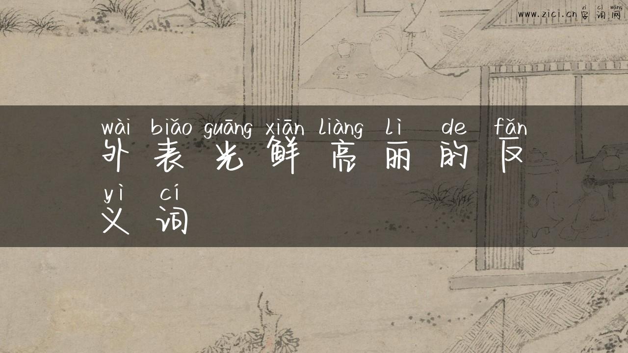 外表光鲜亮丽的反义词