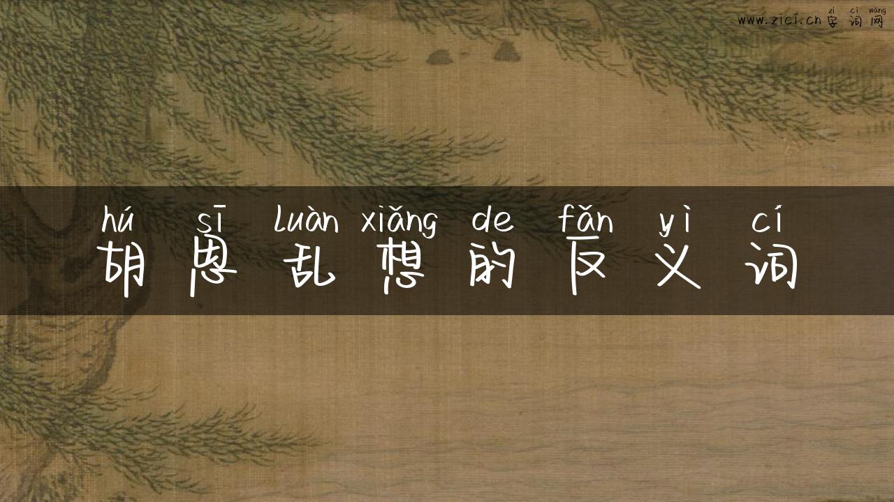 胡思乱想的反义词