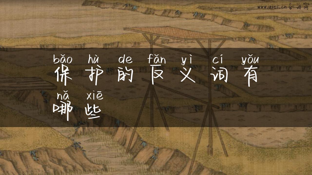 保护的反义词有哪些