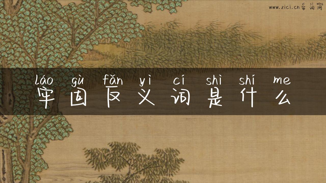 牢固反义词是什么