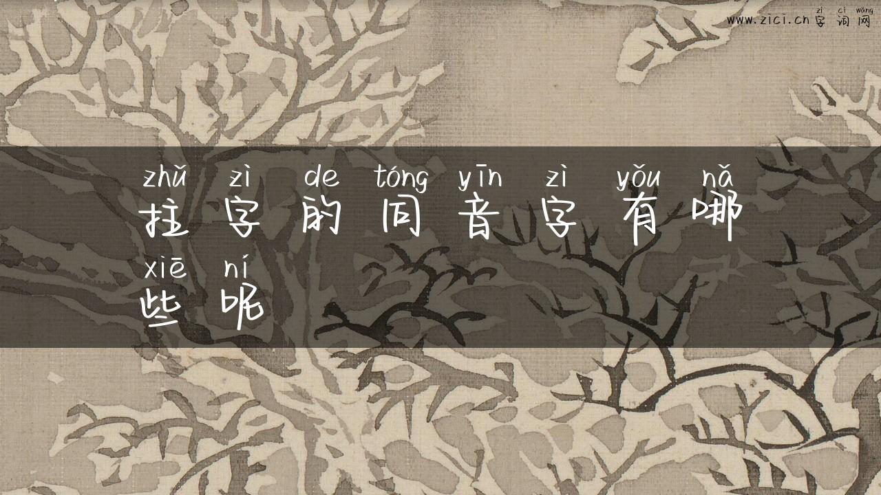拄字的同音字有哪些呢