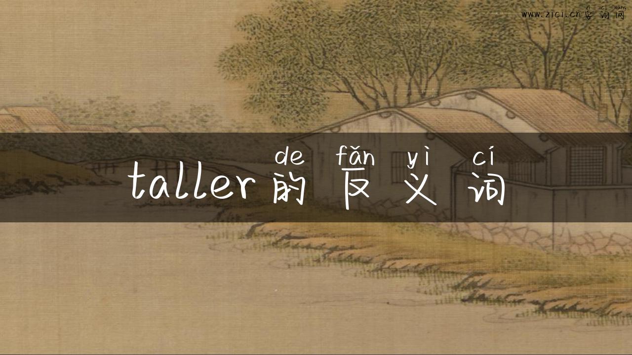 taller的反义词
