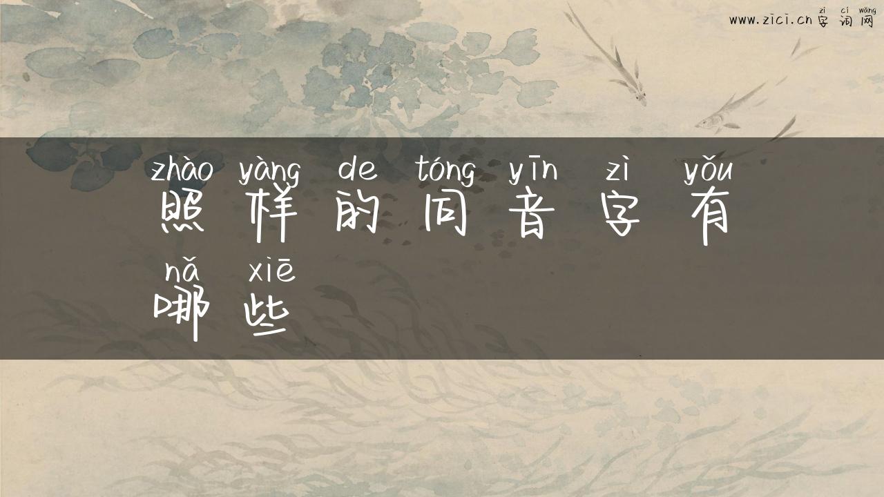 照样的同音字有哪些