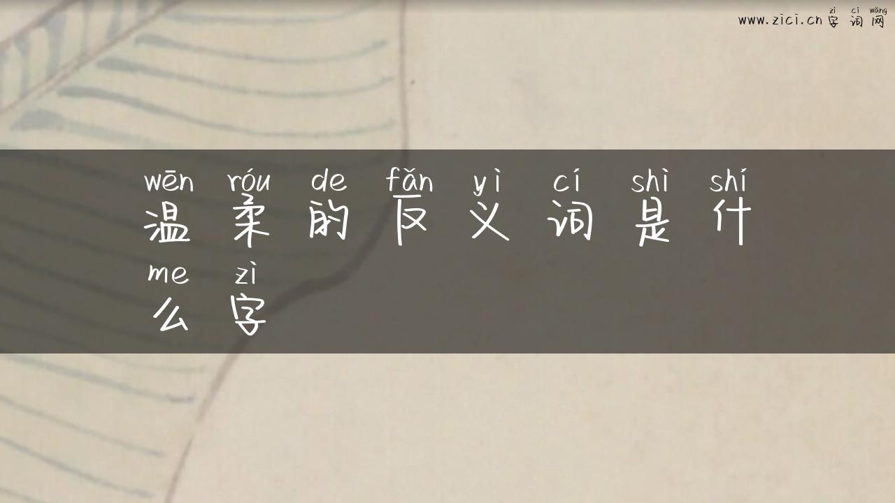 温柔的反义词是什么字