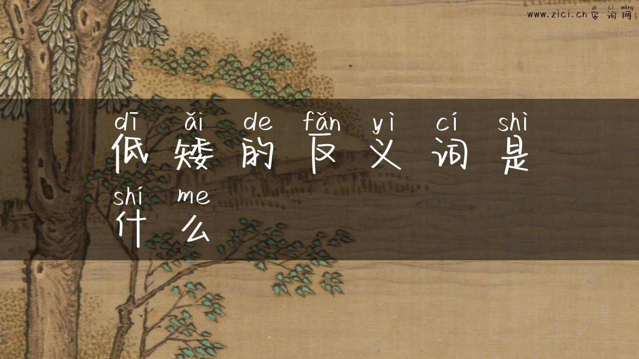 低矮的反义词是什么