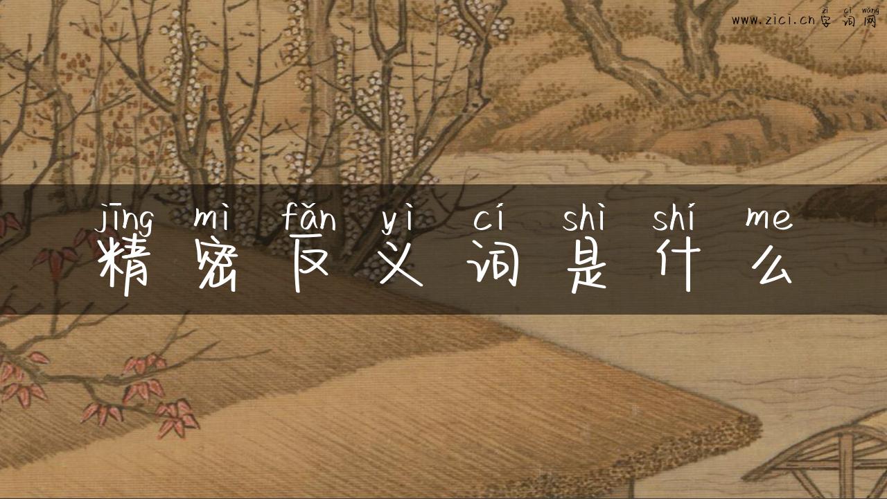 精密反义词是什么