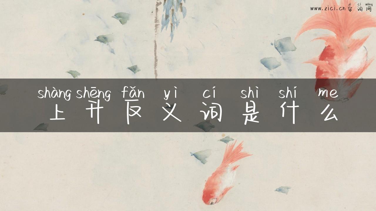 上升反义词是什么