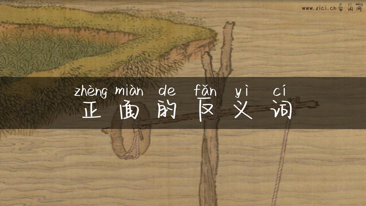 正面的反义词