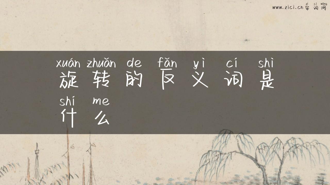 旋转的反义词是什么