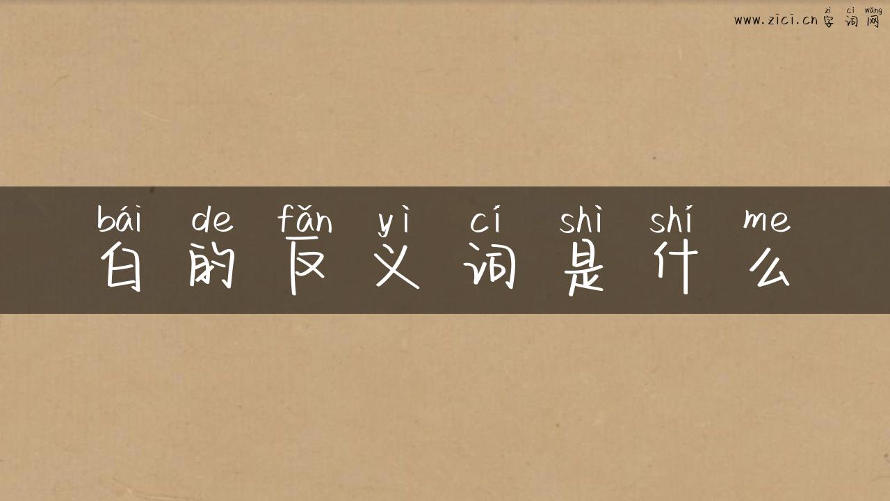白的反义词是什么