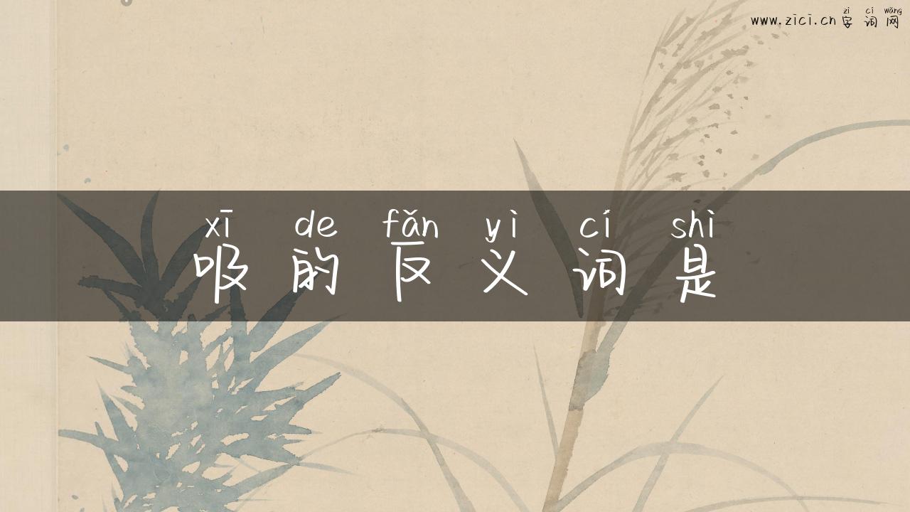吸的反义词是