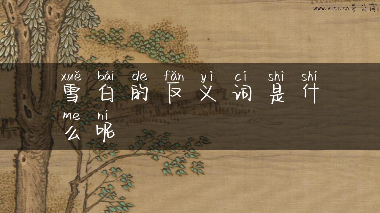 雪白的反义词是什么呢