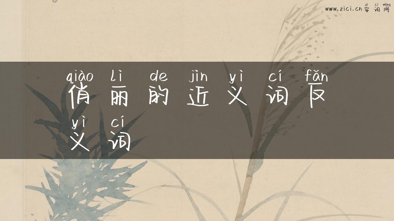 俏丽的近义词反义词