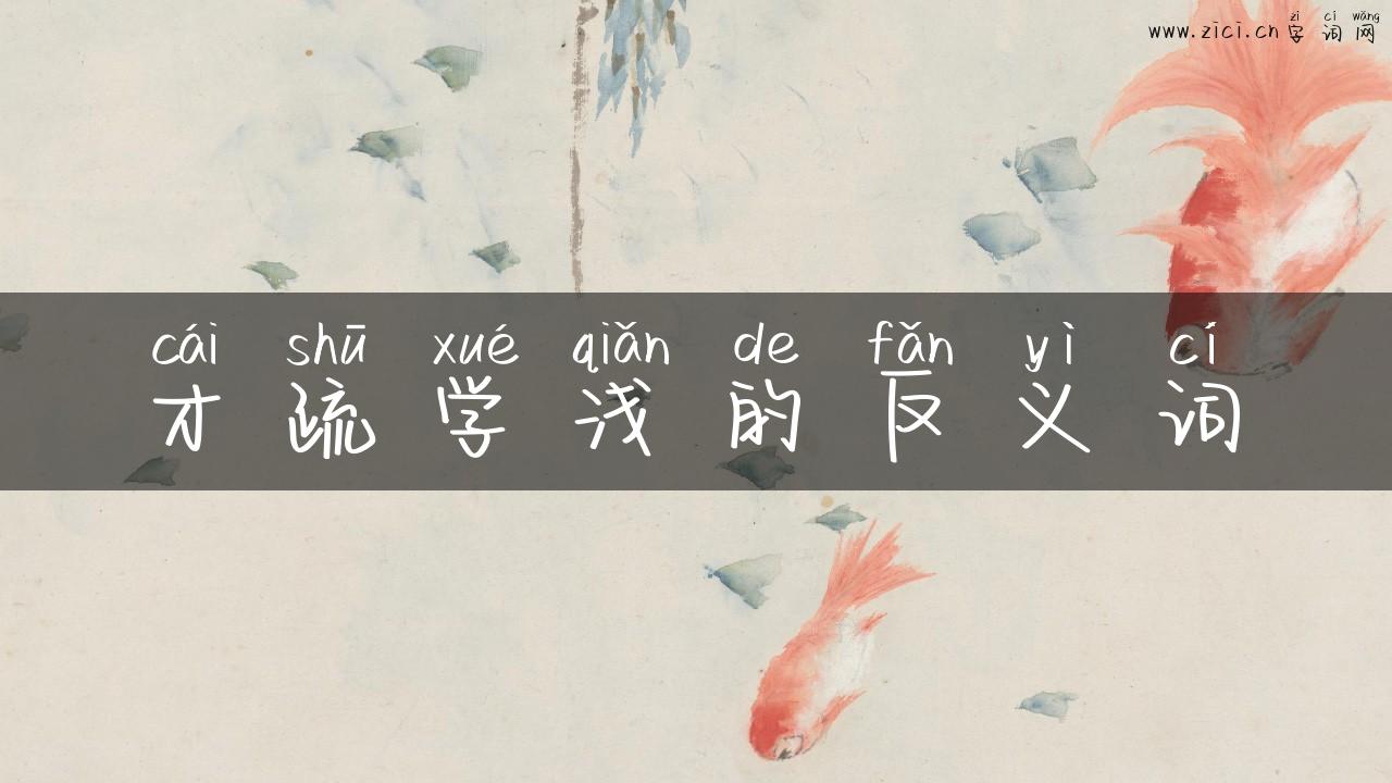才疏学浅的反义词
