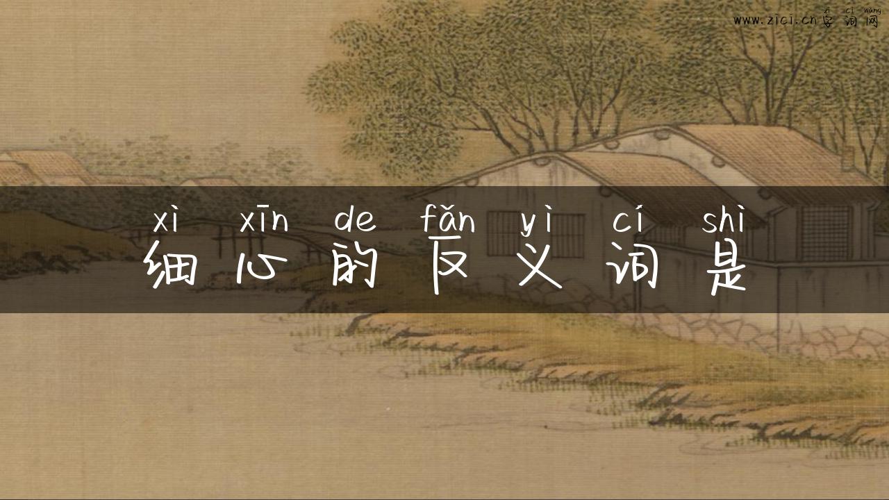 细心的反义词是