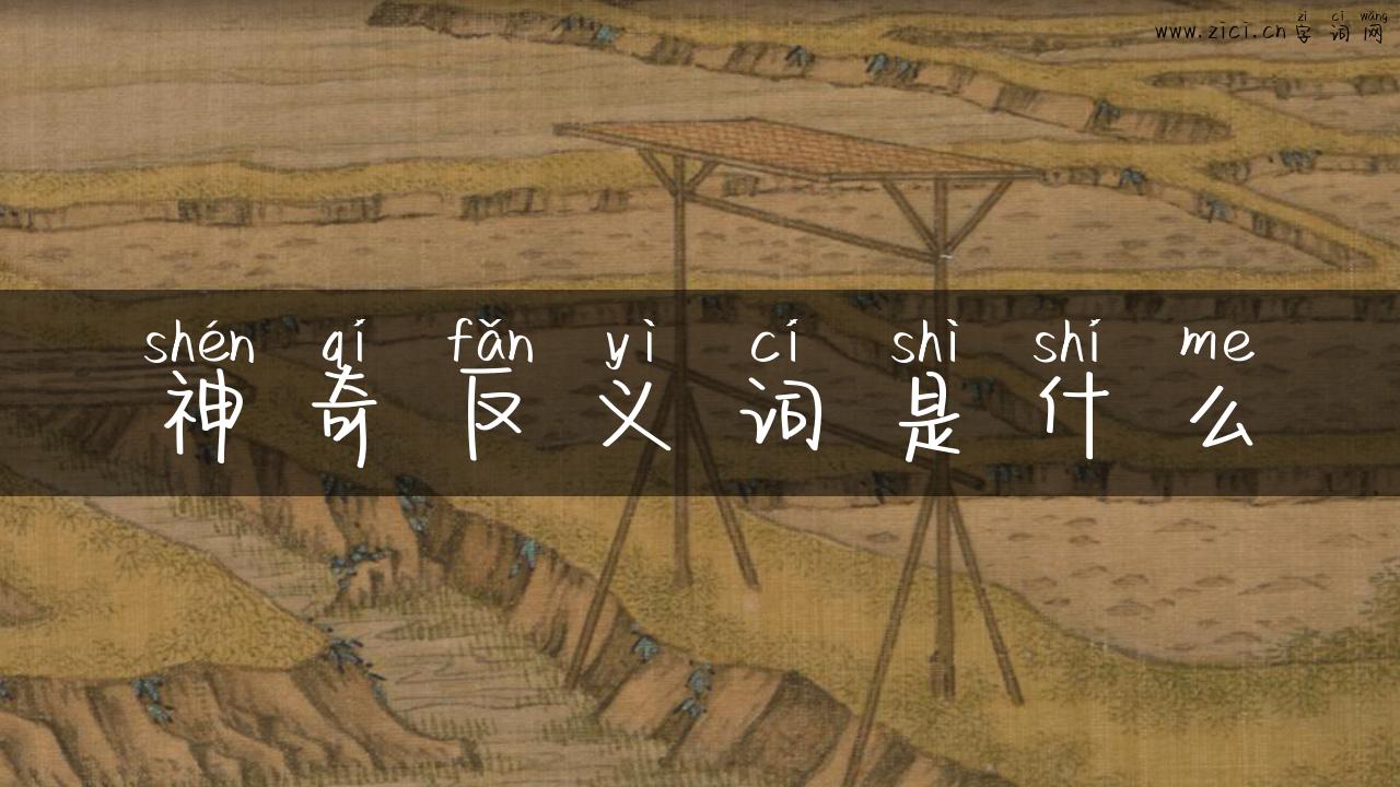 神奇反义词是什么