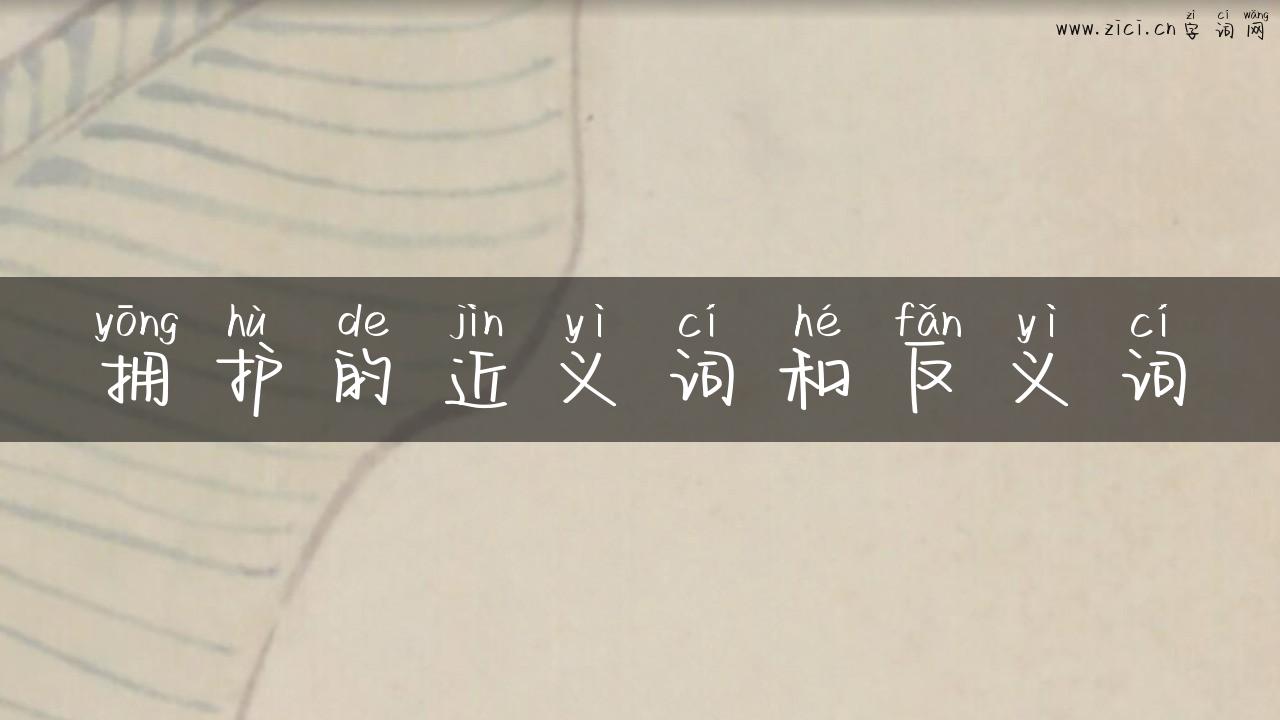 拥护的近义词和反义词