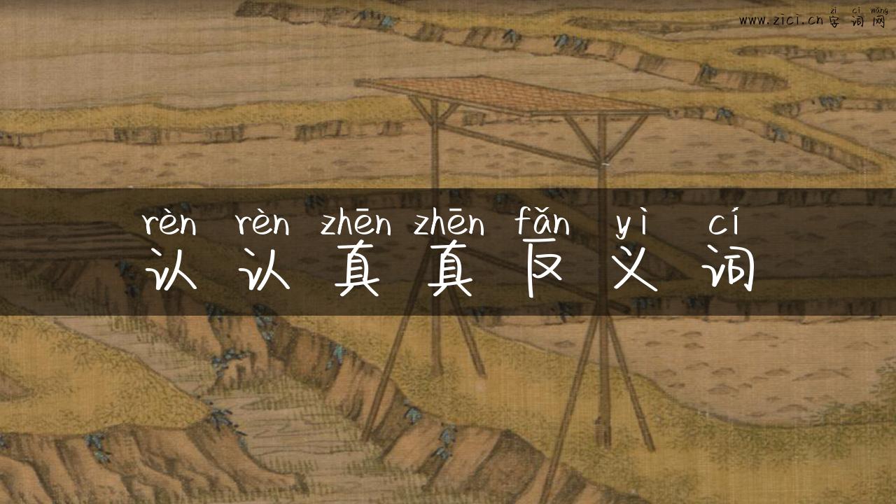 认认真真反义词
