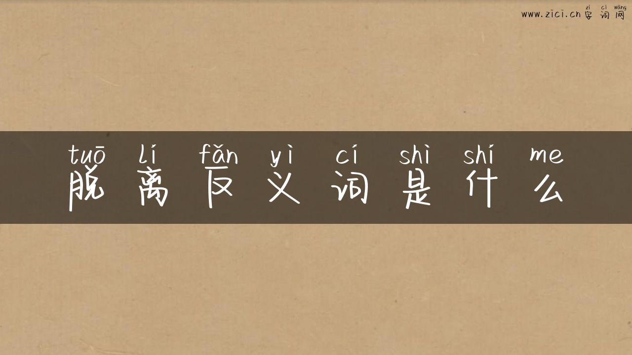 脱离反义词是什么