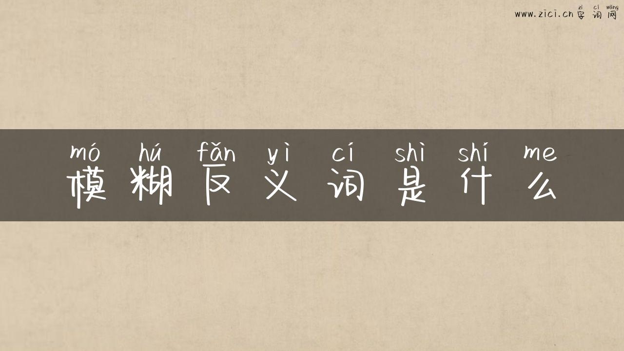 模糊反义词是什么