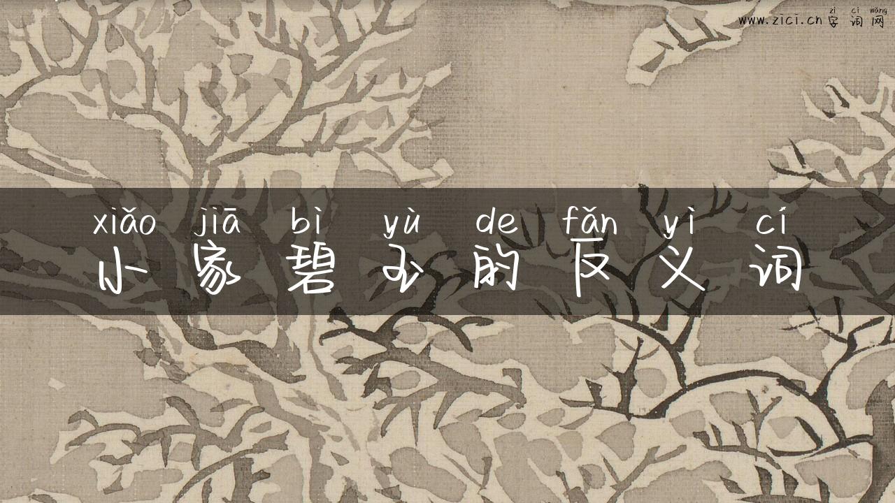 小家碧玉的反义词