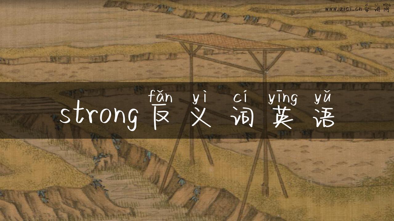 strong反义词英语