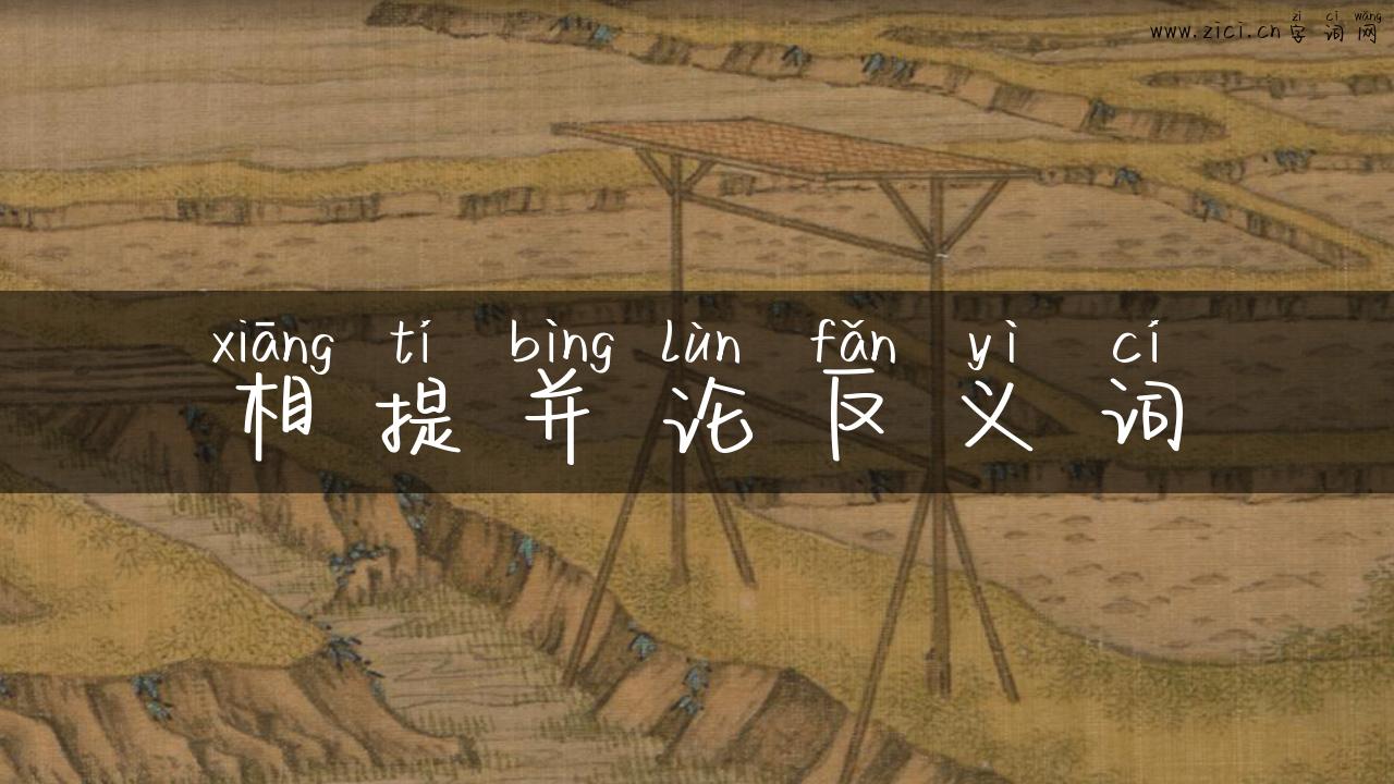 相提并论反义词