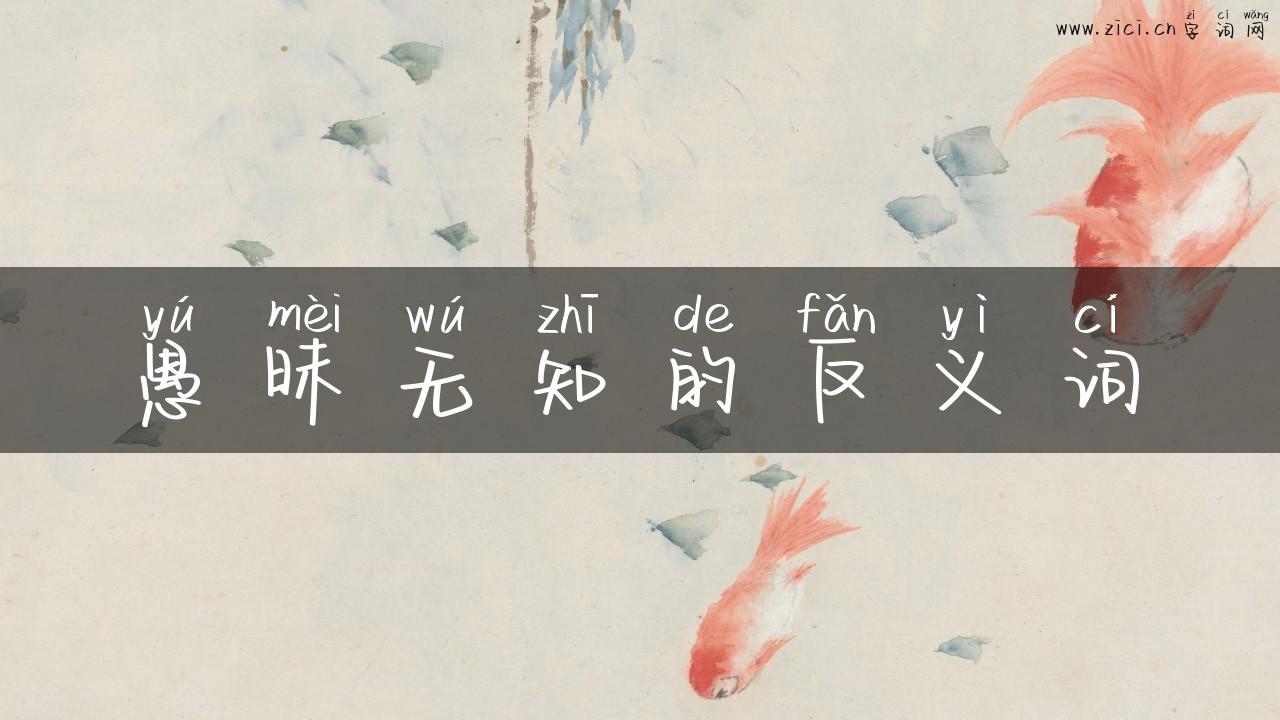 愚昧无知的反义词
