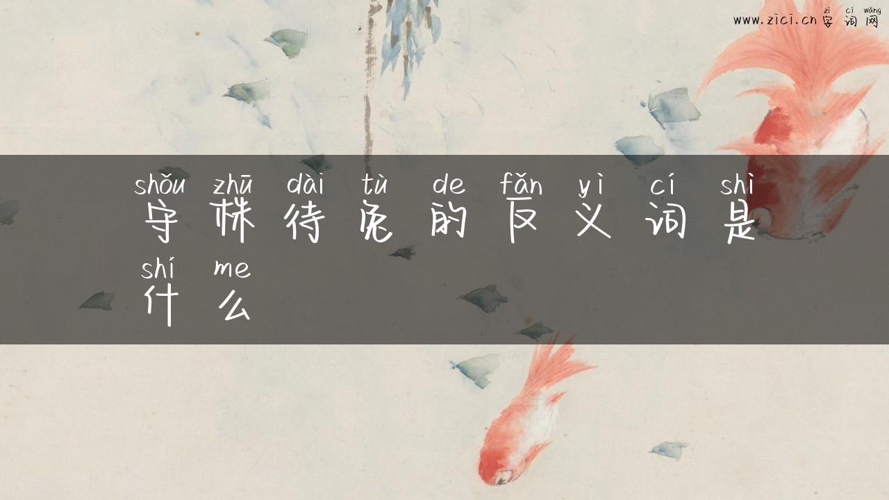 守株待兔的反义词是什么