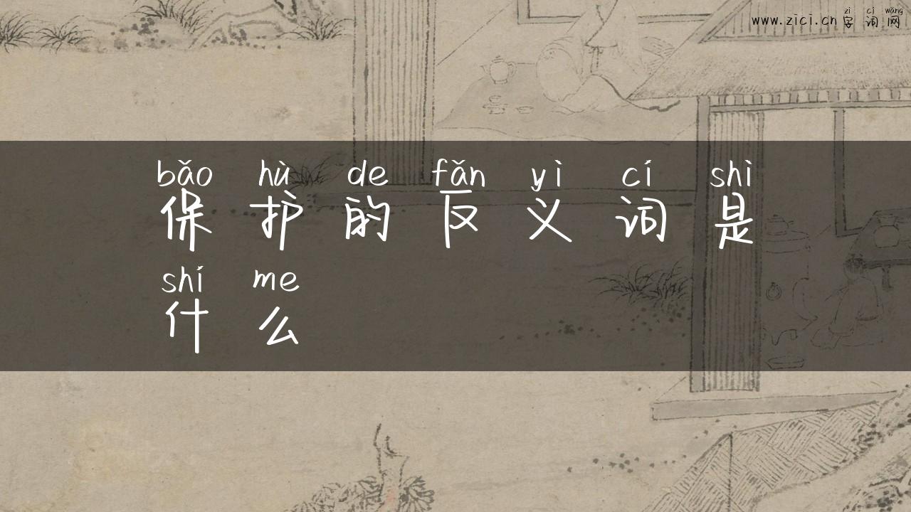 保护的反义词是什么