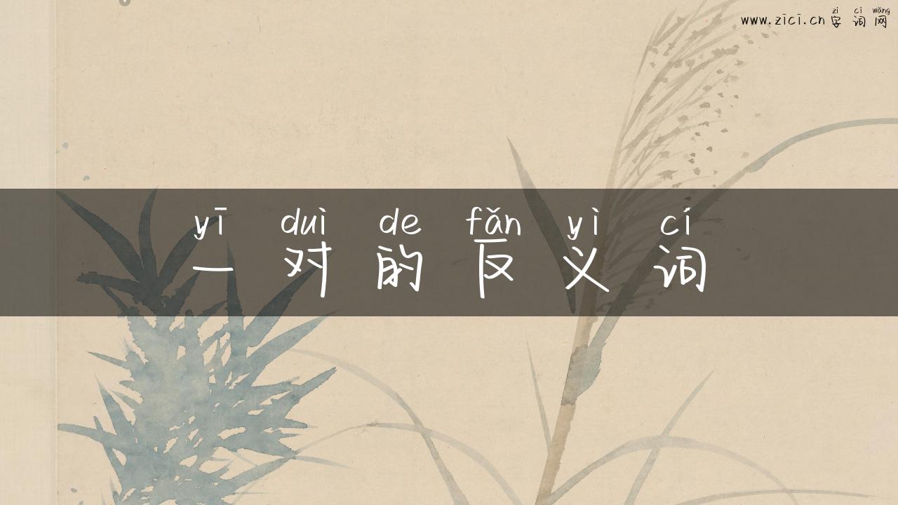 一对的反义词