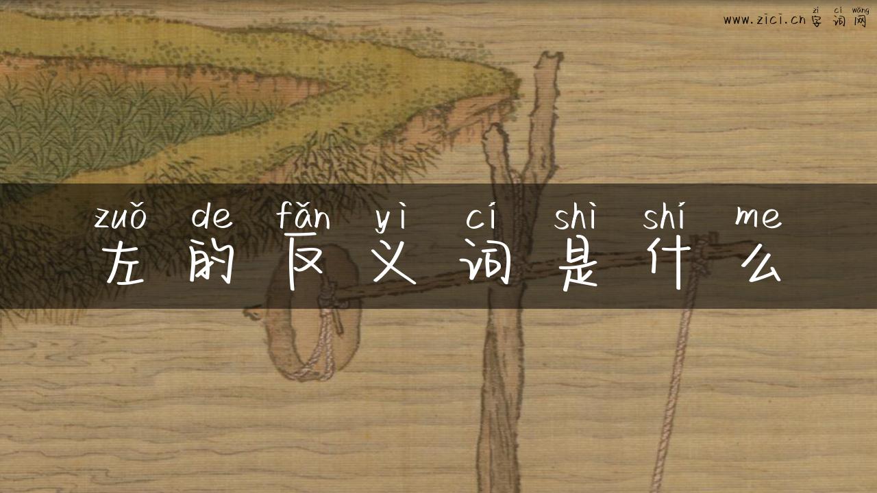 左的反义词是什么