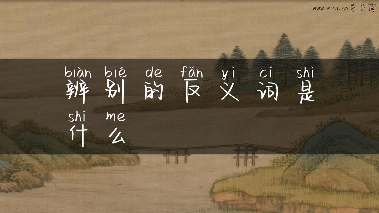 辨别的反义词是什么