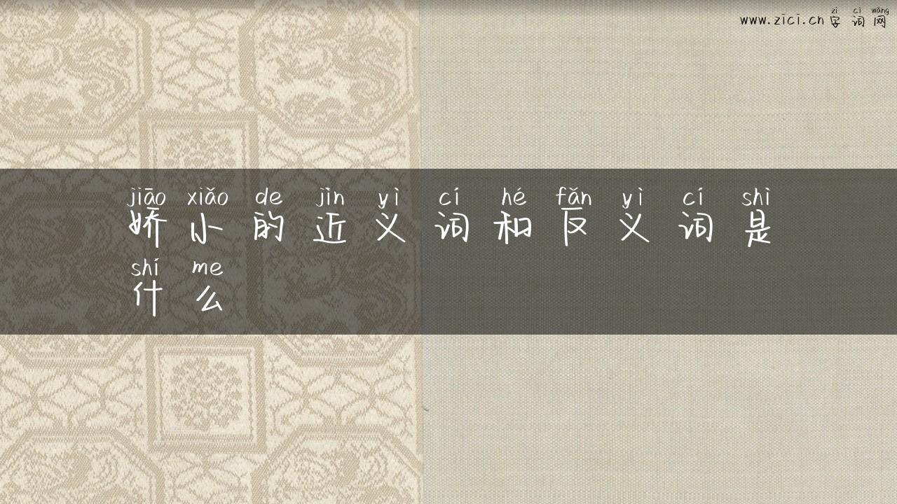 娇小的近义词和反义词是什么