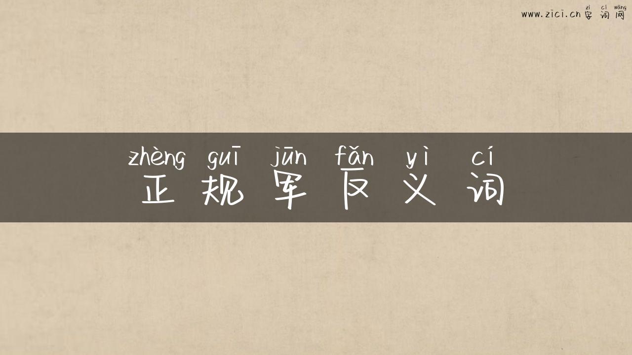 正规军反义词