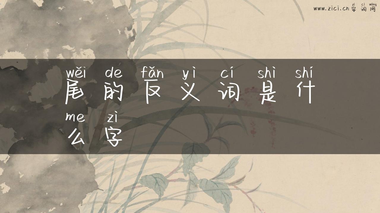 尾的反义词是什么字