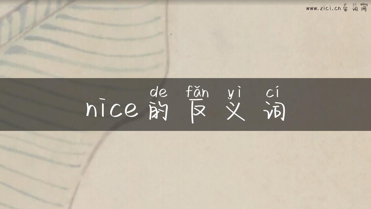 nice的反义词